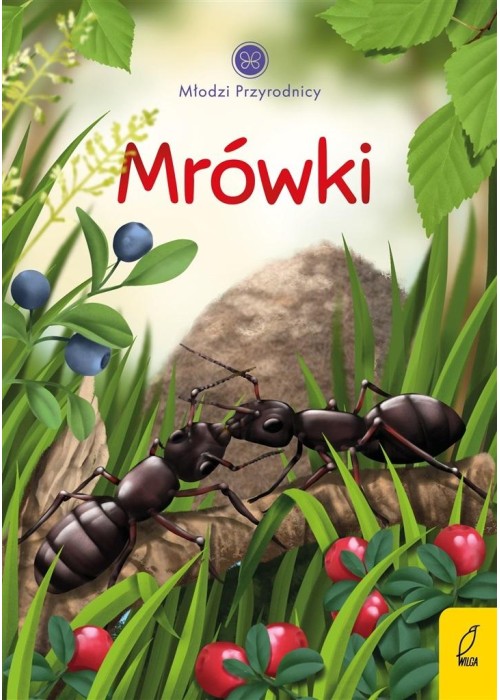 Młodzi przyrodnicy. Mrówki