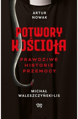 Potwory Kościoła. Prawdziwe historie przemocy