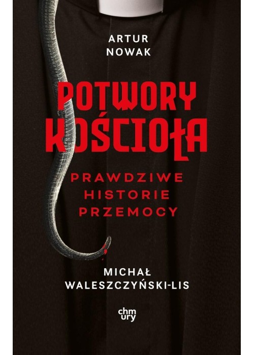 Potwory Kościoła. Prawdziwe historie przemocy