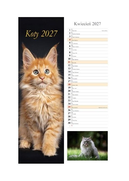 Kalendarz 2027 ścienny pasek Koty