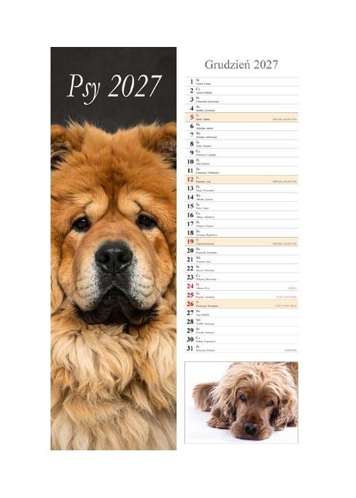 Kalendarz 2027 ścienny pasek Psy
