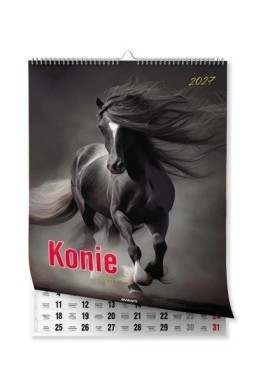 Kalendarz 2027 ścienny A3 Konie