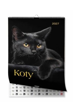 Kalendarz 2027 ścienny A3 Koty