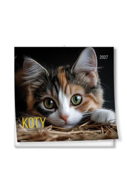 Kalendarz 2027 ścienny 30x30cm Koty