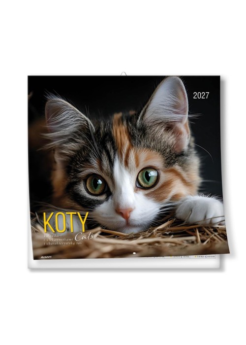 Kalendarz 2027 ścienny 30x30cm Koty