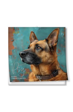 Kalendarz 2027 ścienny 30x30cm Psy z poradami