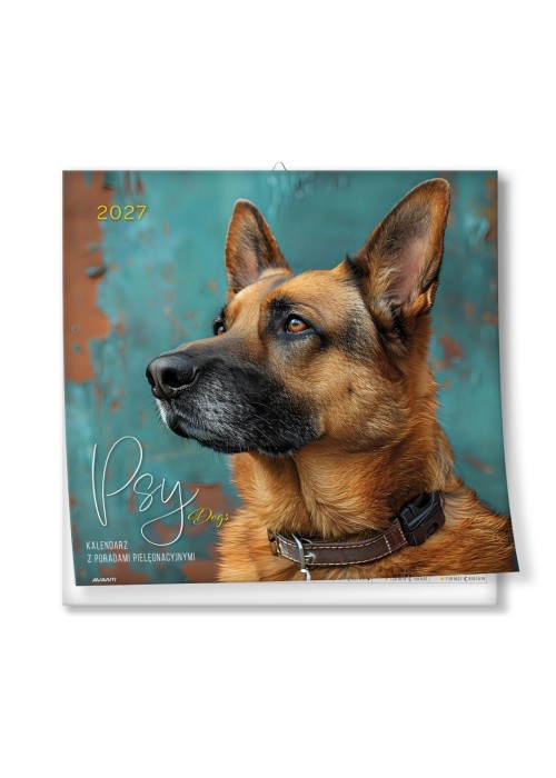 Kalendarz 2027 ścienny 30x30cm Psy z poradami