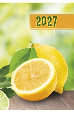 Terminarz 2027 Mikro