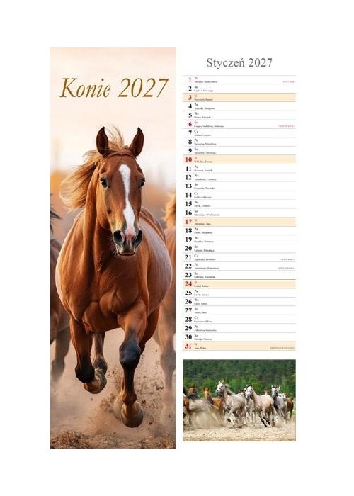 Kalendarz 2027 ścienny pasek Konie