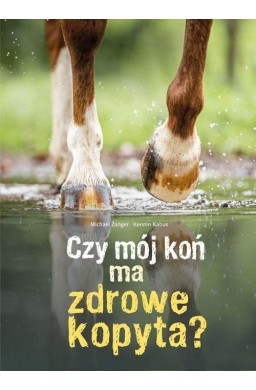 Czy mój koń ma zdrowe kopyta?