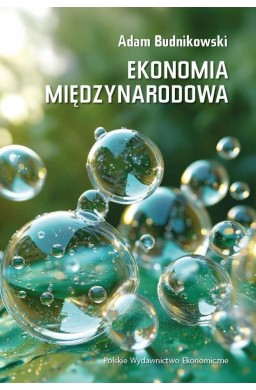 Ekonomia międzynarodowa w.6