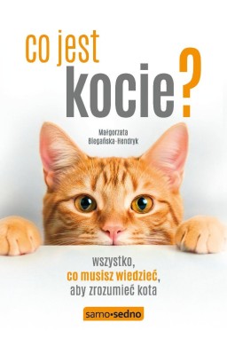 Co jest kocie? Wszystko, co musisz wiedzieć, aby..