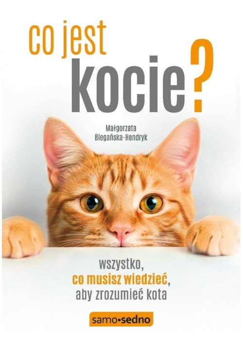 Co jest kocie? Wszystko, co musisz wiedzieć, aby..