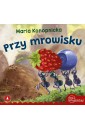 Przy mrowisku