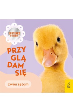 Przyglądam się zwierzętom
