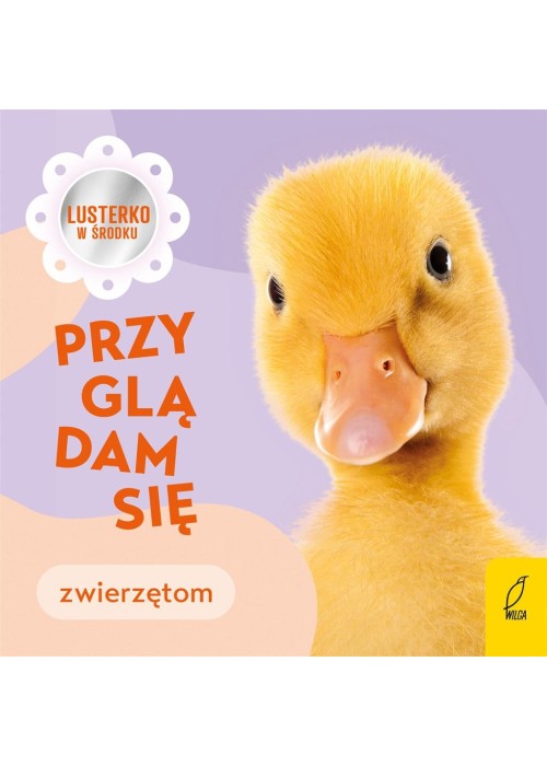 Przyglądam się zwierzętom