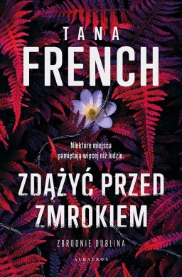 Zdążyć przed zmrokiem