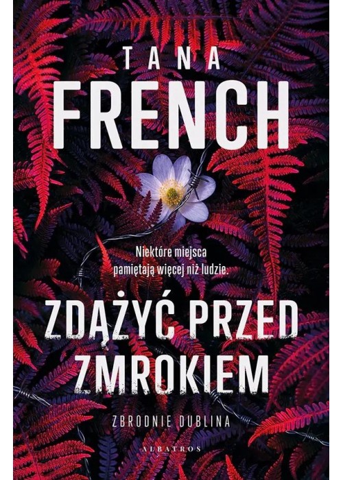 Zdążyć przed zmrokiem