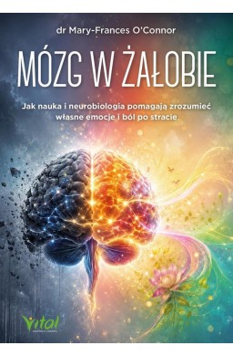 Mózg w żałobie. Jak nauka i neurobiologia...