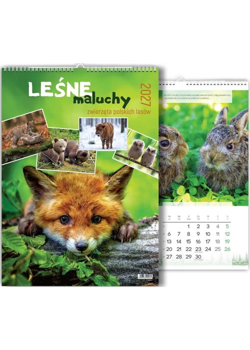 Kalendarz 2027 wieloplanszowy Leśne maluchy