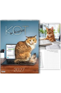 Kalendarz 2027 wieloplanszowy Kot w biurze