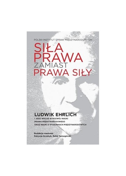 Siła prawa zamiast prawa siły