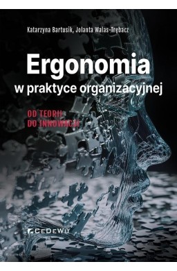Ergonomia w praktyce organizacyjnej