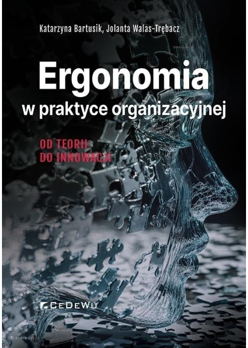 Ergonomia w praktyce organizacyjnej