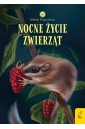 Młodzi przyrodnicy. Nocne życie zwierząt