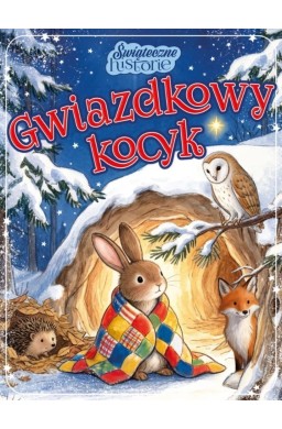 Świąteczne historie. Gwiazdkowy kocyk
