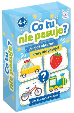 Co tu nie pasuje? mini