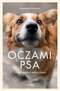 Oczami psa. Co psy widzą, czują i wiedzą