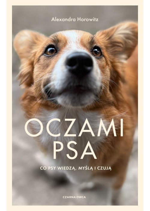 Oczami psa. Co psy widzą, czują i wiedzą