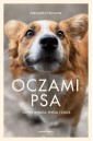 Oczami psa. Co psy widzą, czują i wiedzą