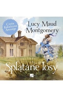Splątane losy Audiobook