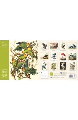 Kalendarz 2027 ścienny kwadrat Audubon Birds