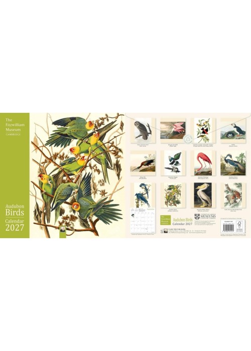 Kalendarz 2027 ścienny kwadrat Audubon Birds