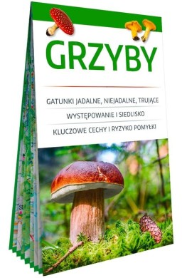 Grzyby. Poręczny, laminowany miniprzewodnik
