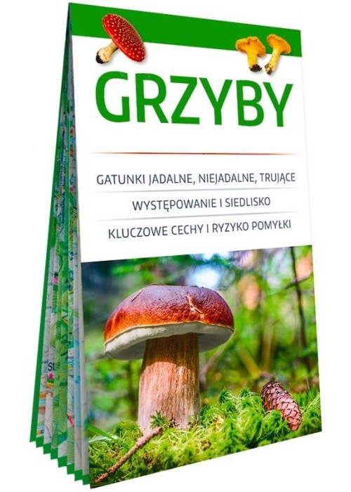Grzyby. Poręczny, laminowany miniprzewodnik