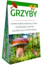 Grzyby. Poręczny, laminowany miniprzewodnik