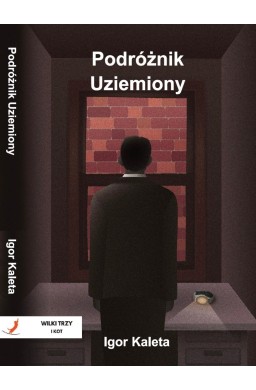 Podróżnik T.2 Podróżnik Uziemiony