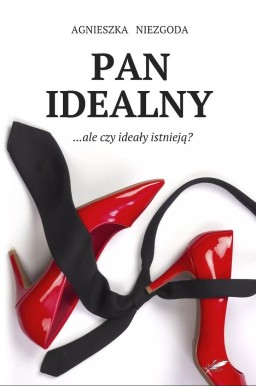 Pan Idealny