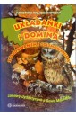Układanki i domina z dodawaniem i odejmowaniem