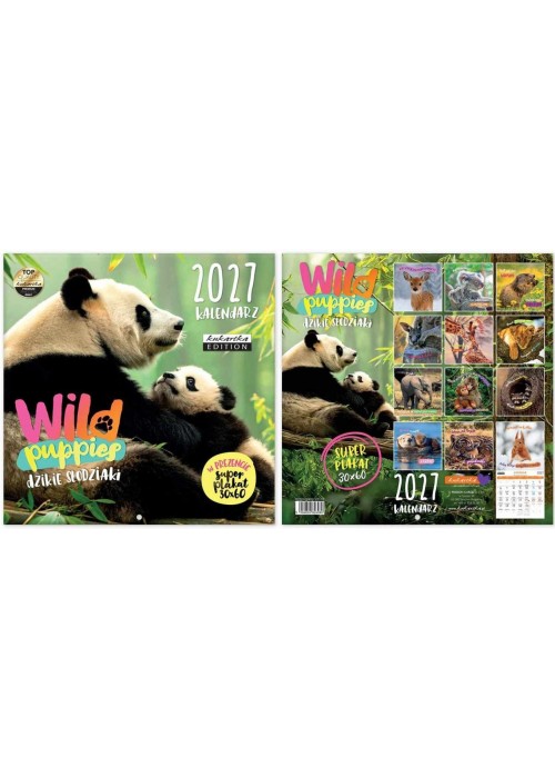 Kalendarz 2027 ścienny Classic Q Wild Puppies