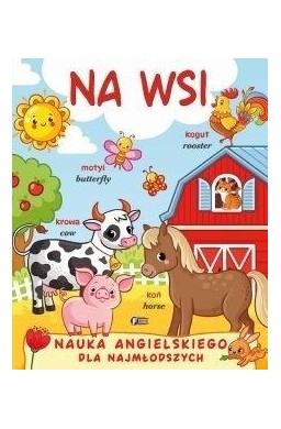 Na wsi