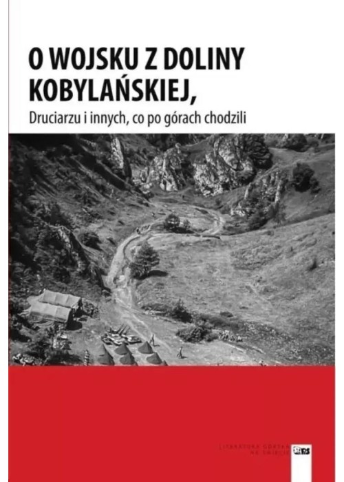 O wojsku z Doliny Kobylańskiej, Druciarzu i...