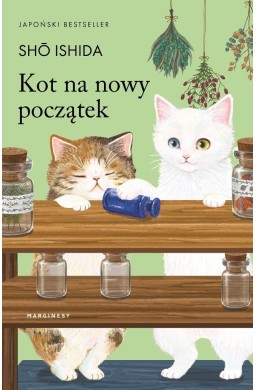 Kot na nowy początek