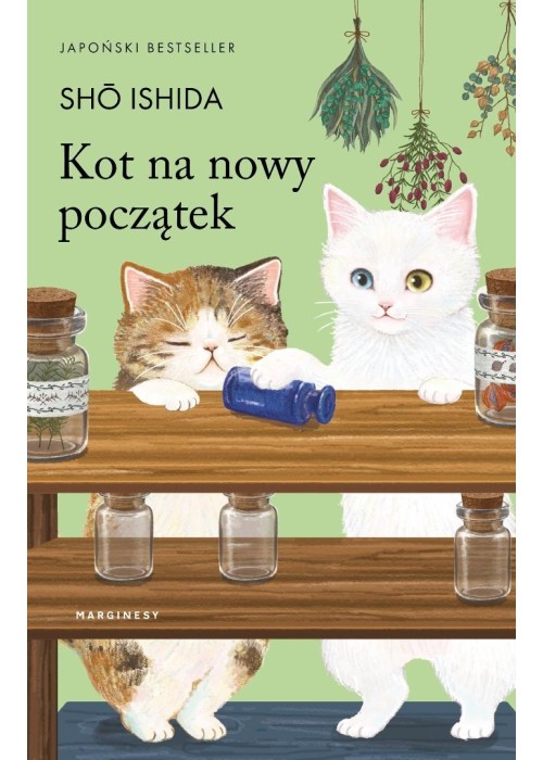 Kot na nowy początek
