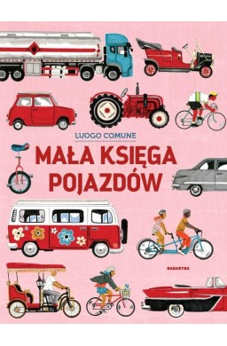 Mała księga pojazdów