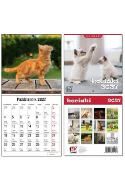 Kalendarz 2027 dla dzieci 16x32 13 plansz Kociaki